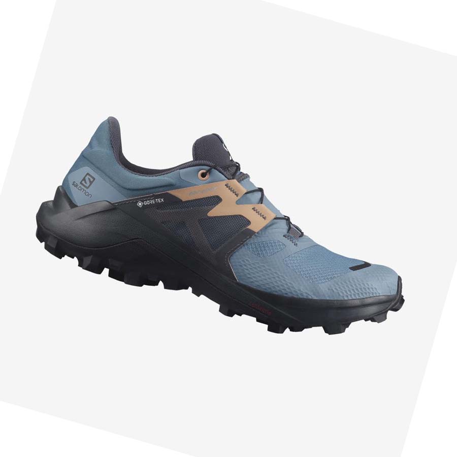 Salomon WILDCROSS 2 GORE-TEX Kadın Patika Koşu Ayakkabısı Mavi | TR 2769AHK